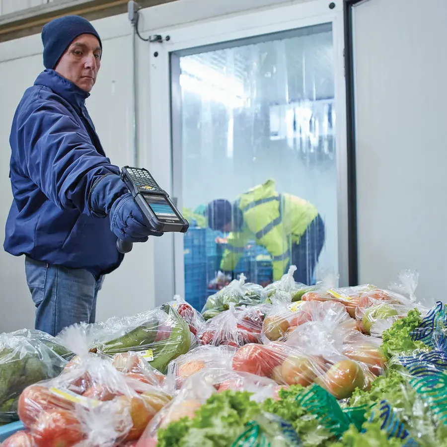 Worker scanning fresh produce in a cold store with a mobile computer